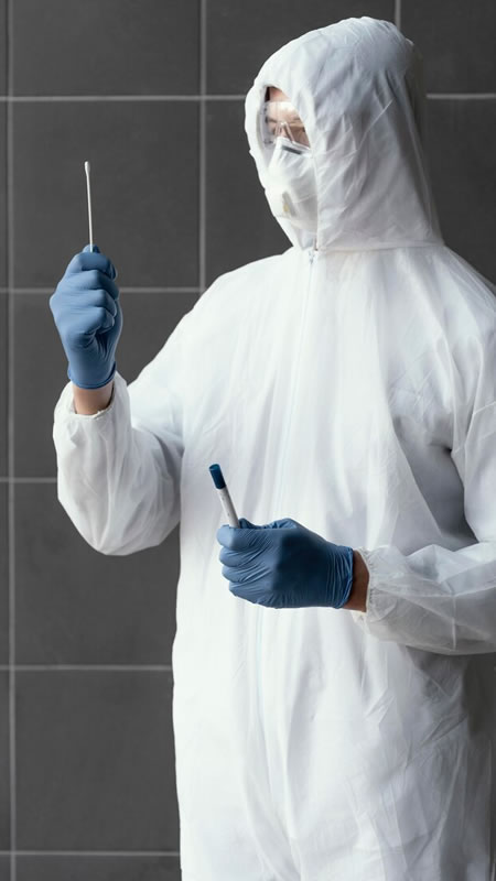Sanitização
